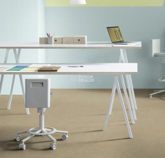 Forbo Marmoleum Decibel on Order 389035 oat фото 2 | FLOORDEALER